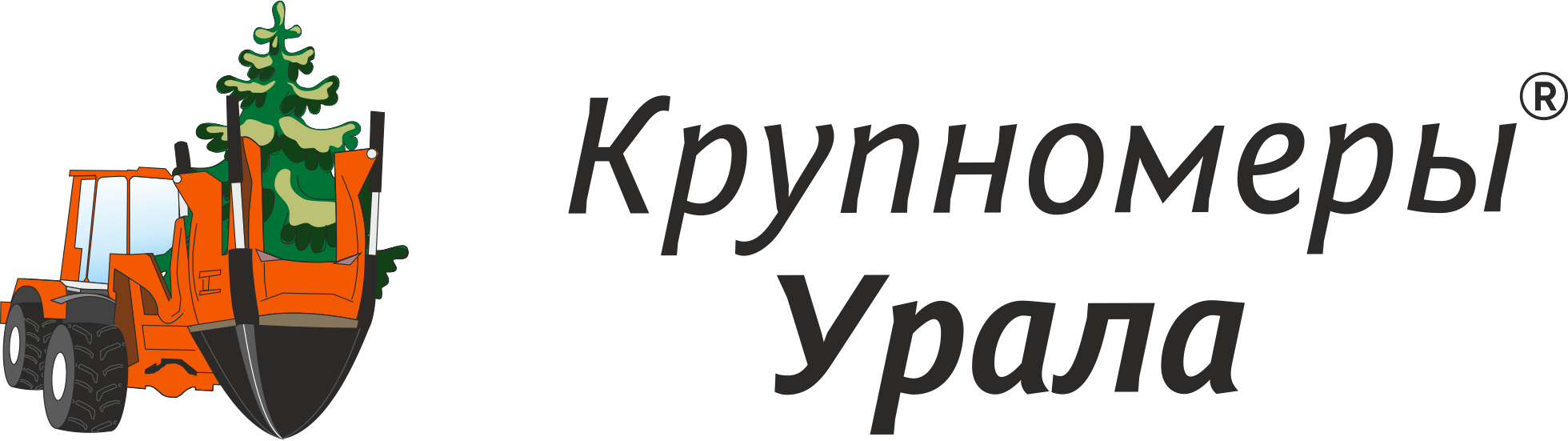 Купить саженцы березы✔️ стоимость в Волгограде - питомник «Крупномеры Урала»